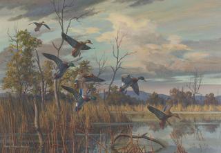 Harry Curieux Adamson - Ducks Landing on a Pond