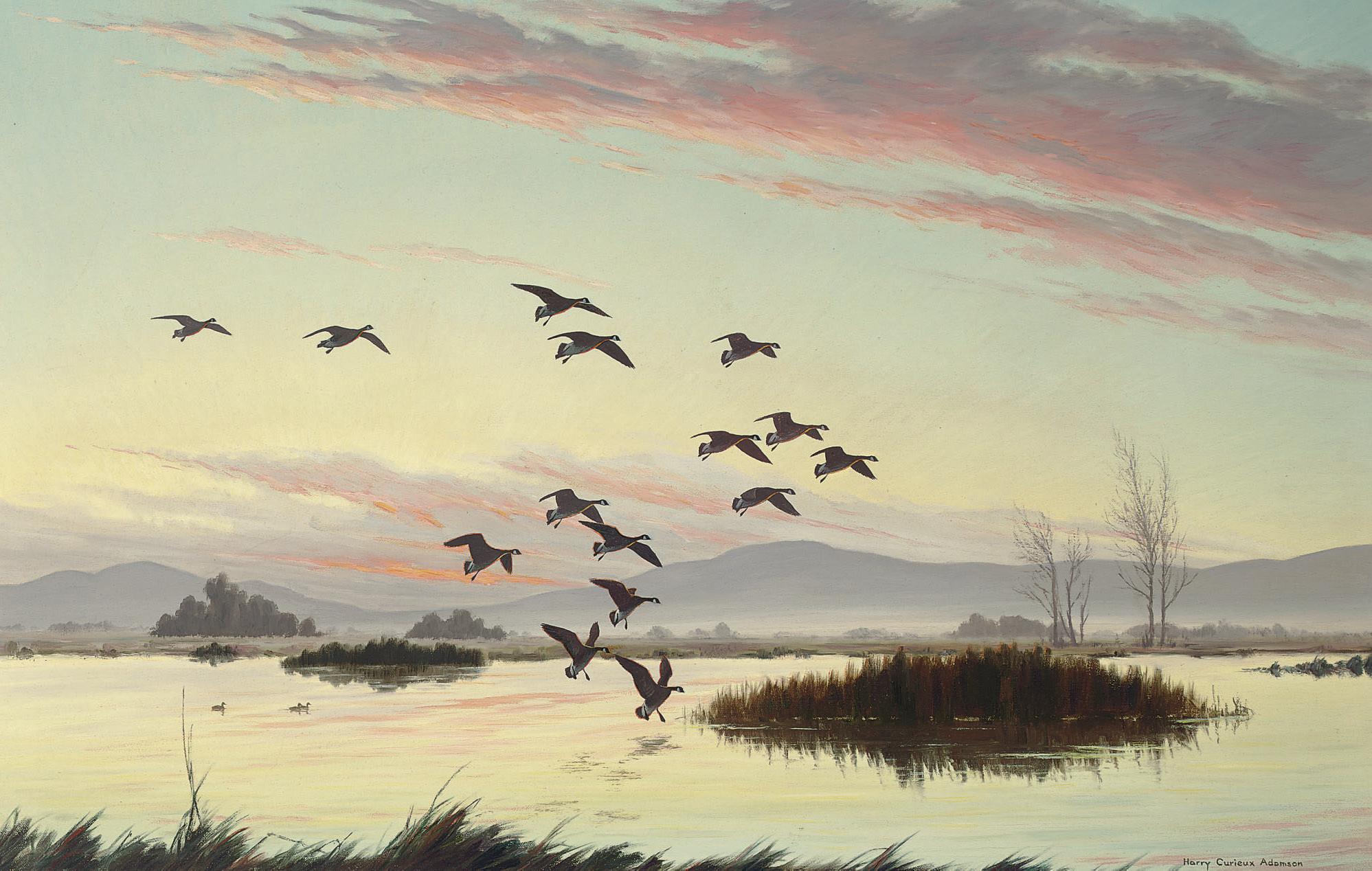 Harry Curieux Adamson - Honkers in Lassen County, California