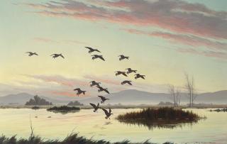Harry Curieux Adamson - Honkers in Lassen County, California