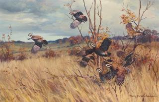 Harry Curieux Adamson - Quail Covey Rising from Grasses