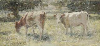 Harry Fidler - Cattle grazing in a meadow