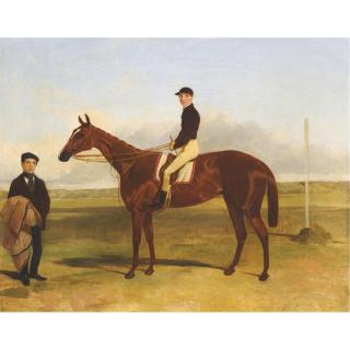 Harry Hall - A Bay Racehorse With Jockey Up