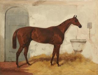 Harry Hall - A pair of portraits featuring horses Cossack and Van Tromp