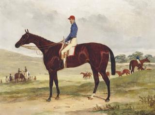 Harry Hall - Bay Racehorse With Jockey Up