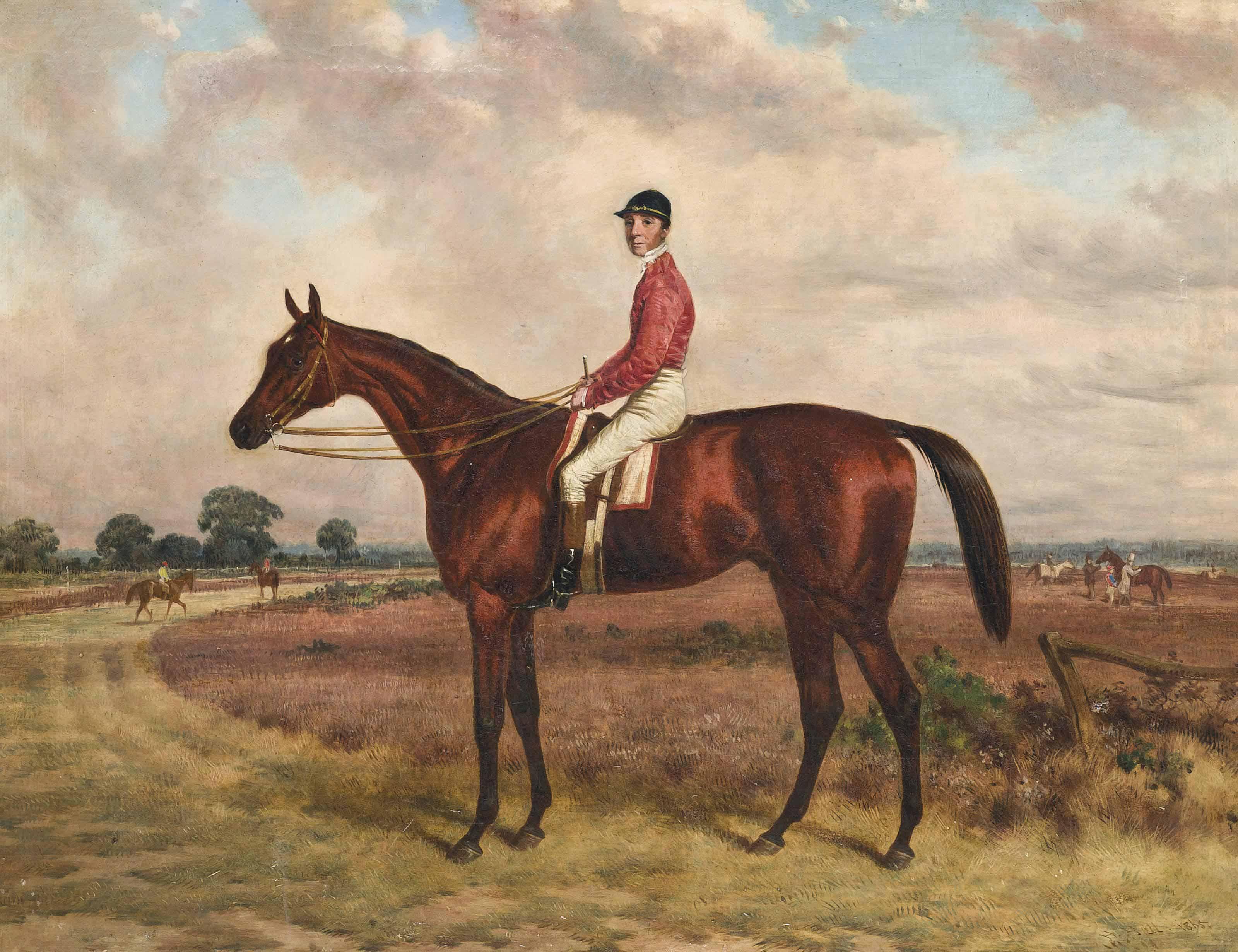 Harry Hall - Bay racehorse, with jockey up