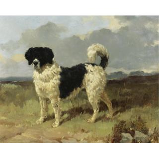 Harry Hall - British A Newfoundland Landseer In A Landscape