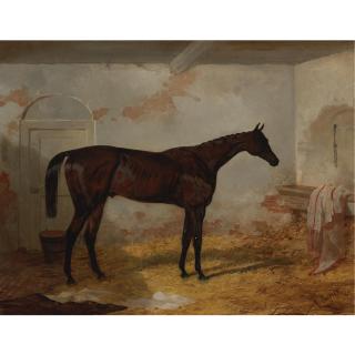 Harry Hall - British Mr. A. W. Hill\'S Bay Colt Sweetmeat In A Loose Box