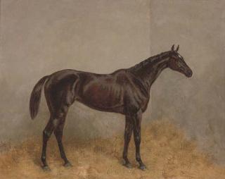 Harry Hall - Caller Ou