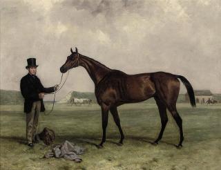 Harry Hall - Gamester, winner of the 1859 Doncaster and Newmarket St. Legers, held by a groom, at Newmarket