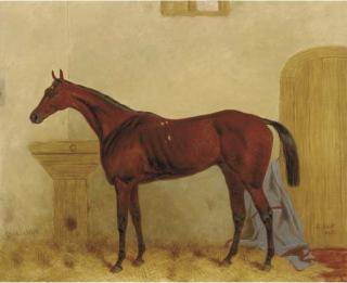 Harry Hall - Gladiateur: a Bay racehorse in a stable