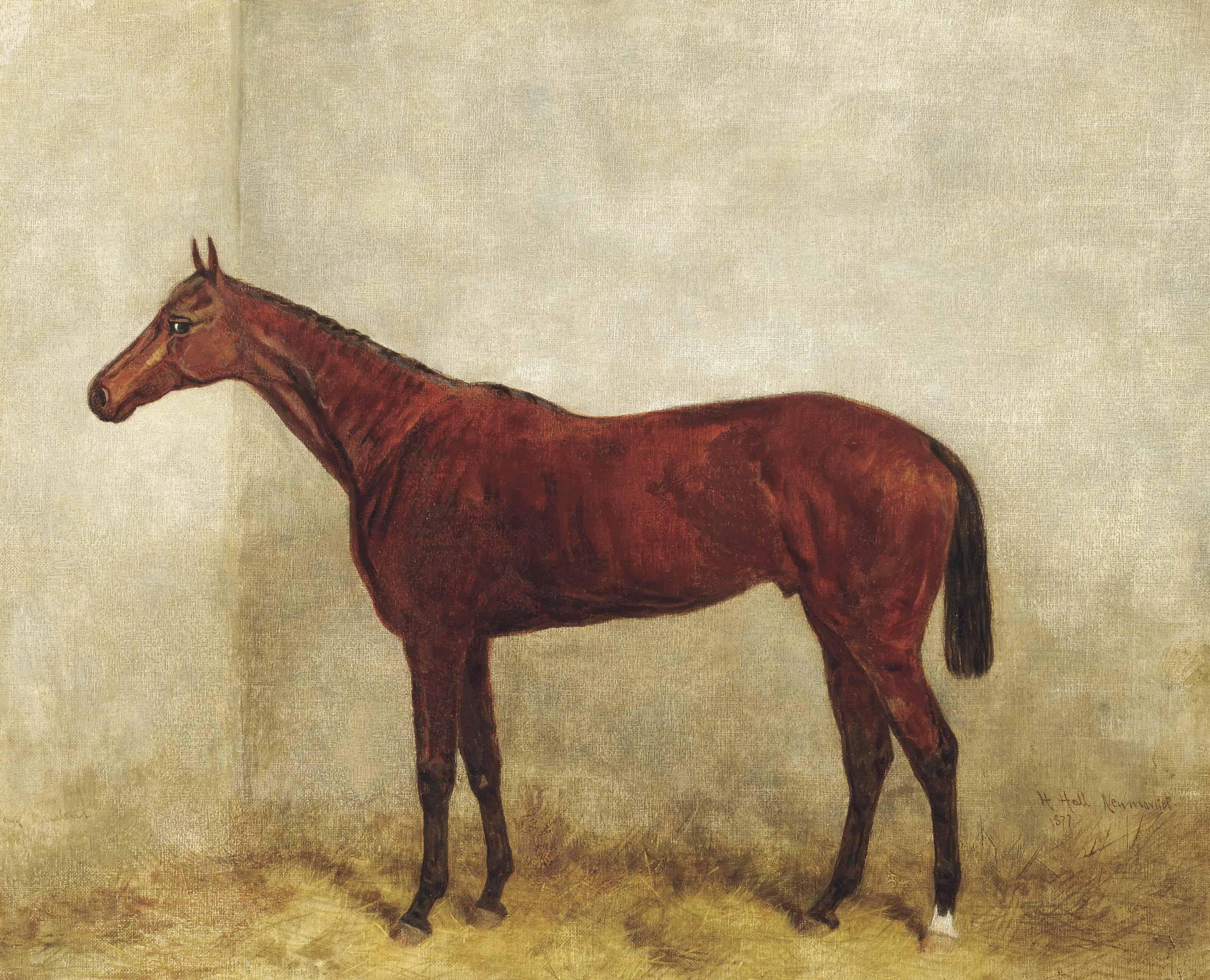 Harry Hall - Jongleur in a stable, Newmarket
