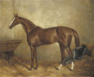 Harry Hall - Prince Charlie in a stable