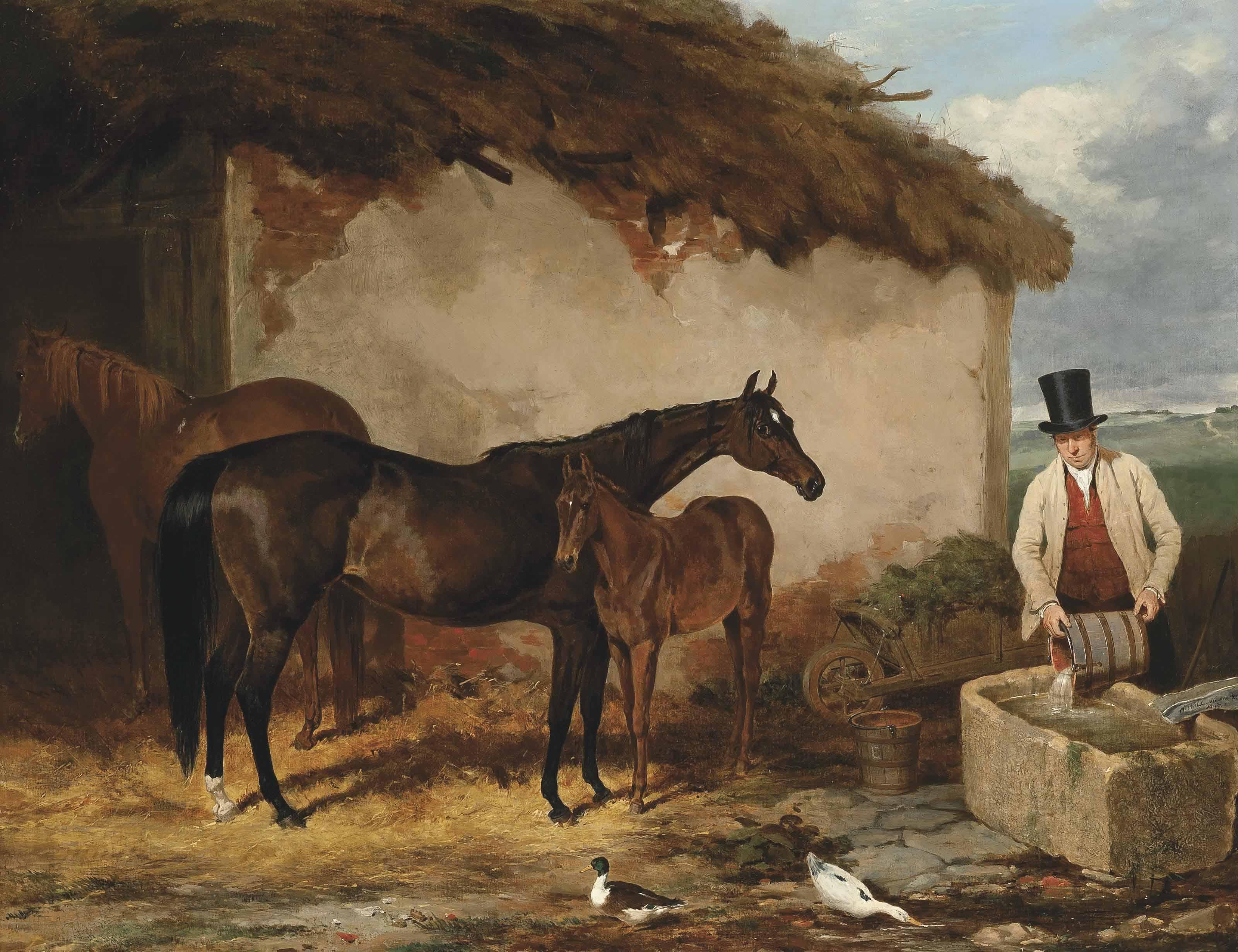 Harry Hall - The mare Perhaps at Newmarket