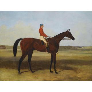 Harry Hall - The Pretender With John Osborne Up At Newmarket Heath