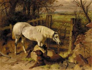 Harry Hall - Waiting for master