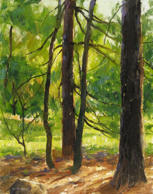 Harry Leith-Ross - Under the Pines