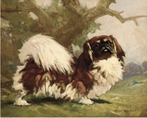 Harry Rowntree - A pekingese