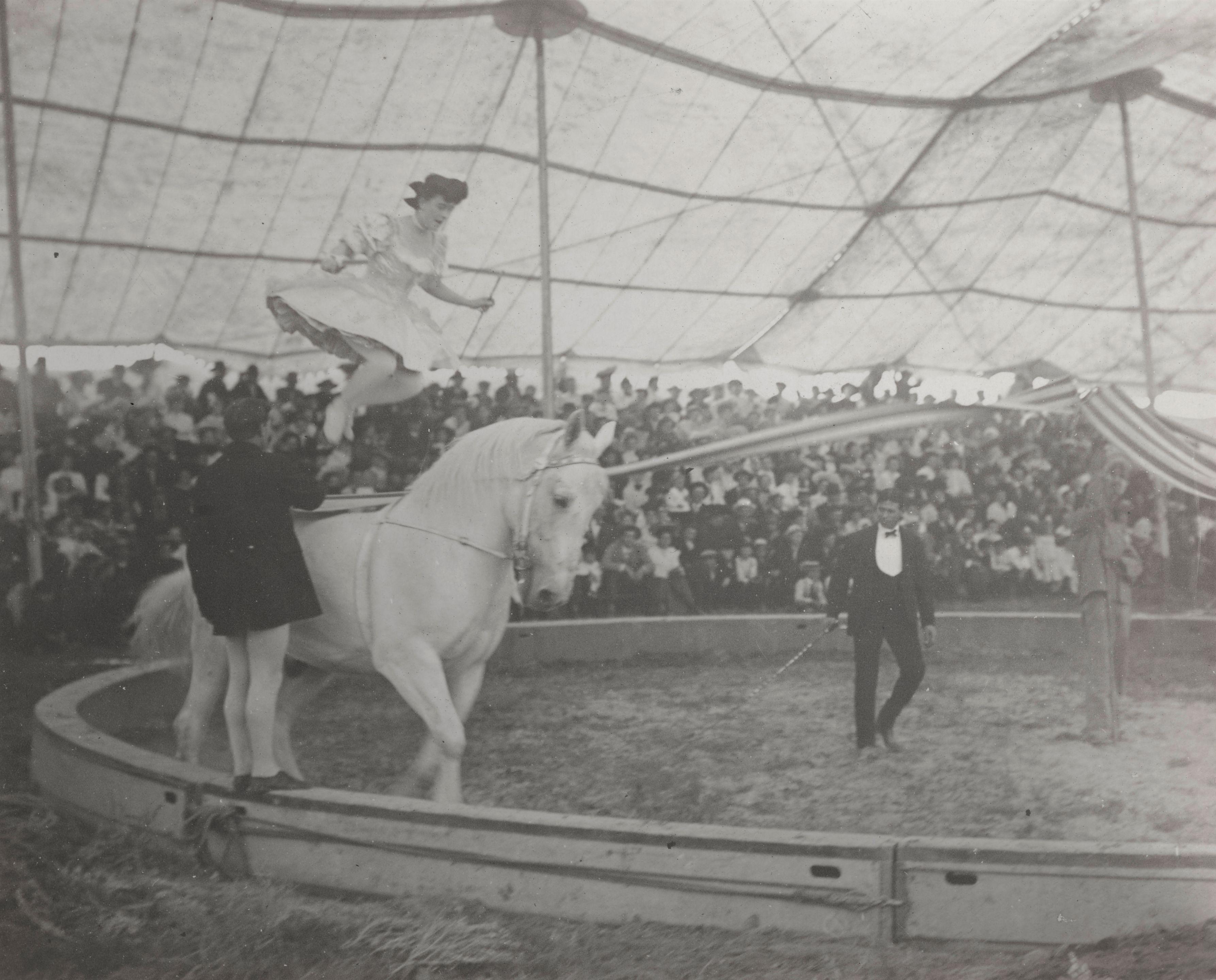 Harry Rubincam - At the Circus