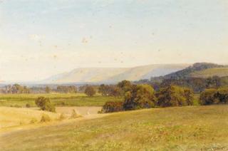 Harry Sutton Palmer - A cornfield on the Sussex Downs