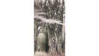 He Huaishuo - Cypress, 1984