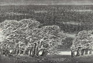 He Huaishuo - Frozen Wind