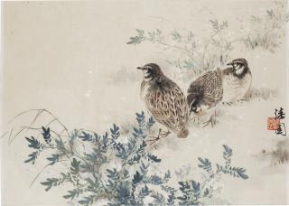 He Qiyuan - Quails