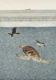 He Xi - Aquarium On The Shore