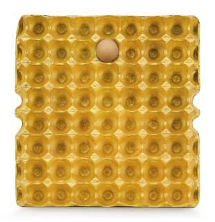 He Xiangyu - 200G Gold, 62G Protein