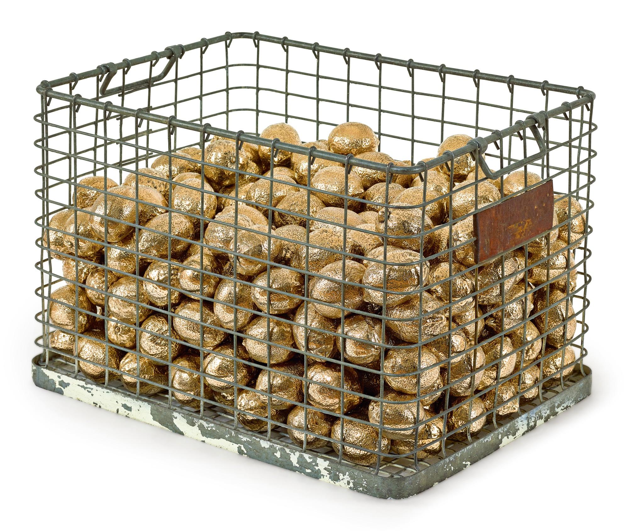 He Xiangyu - The Study Of Lemons