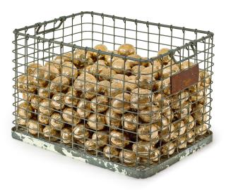 He Xiangyu - The Study Of Lemons