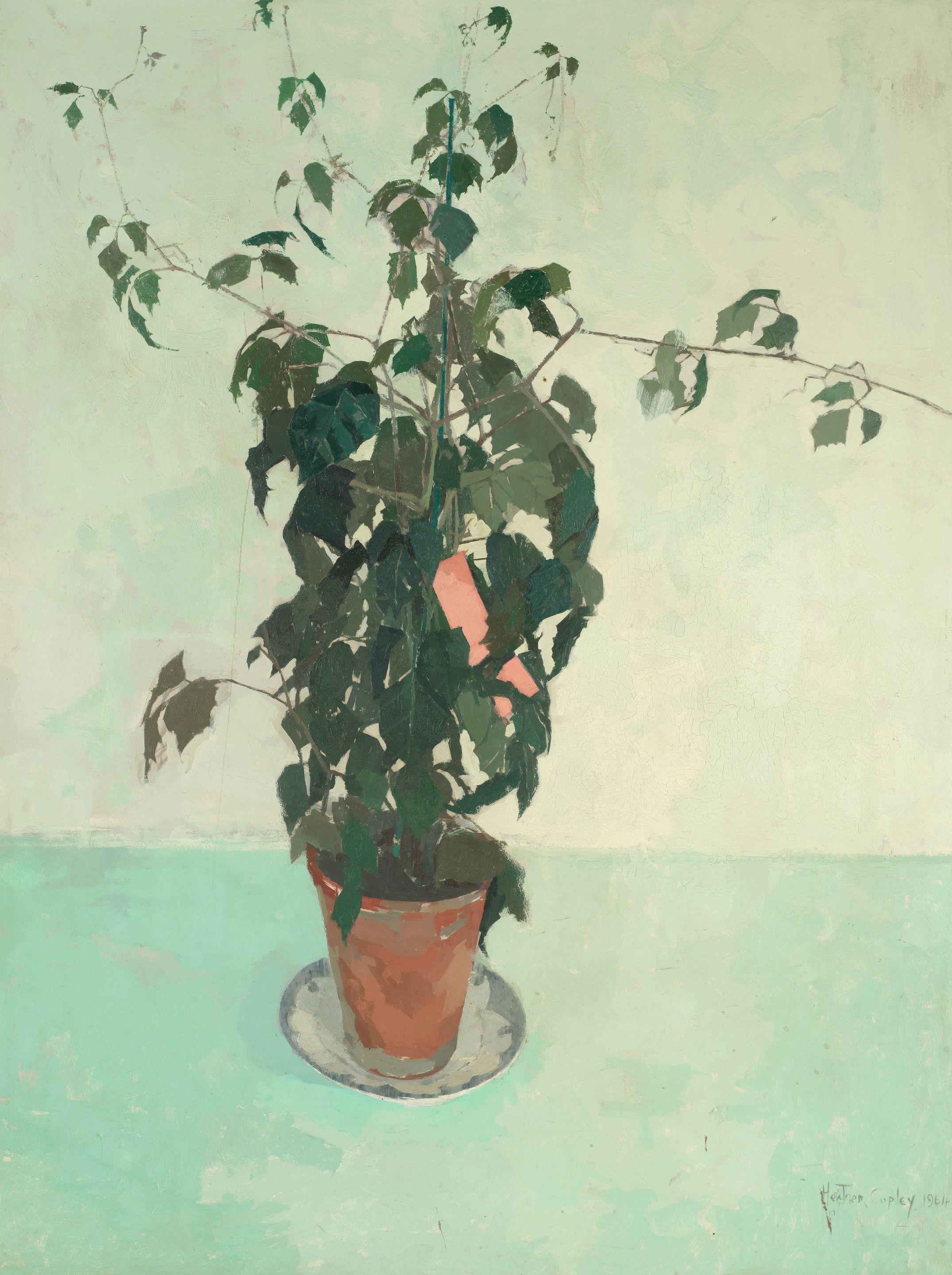 Heather Copley - The Pot of Ivy