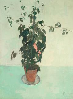 Heather Copley - The Pot of Ivy