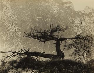 Hedda Hammer Morrison - Huà Shan