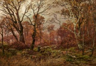 Heinrich Böhmer - \