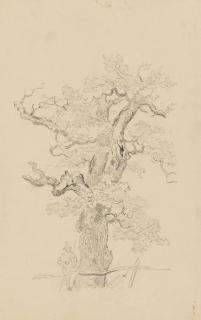 Heinrich Bürkel - 23 Blätter: Alpenlandschaften, Figurenstudien