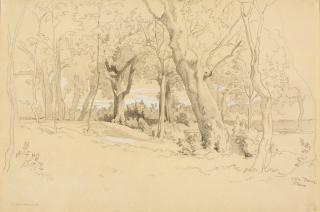 Heinrich Dreber - Bewaldete Landschaft in den Albaner Bergen.