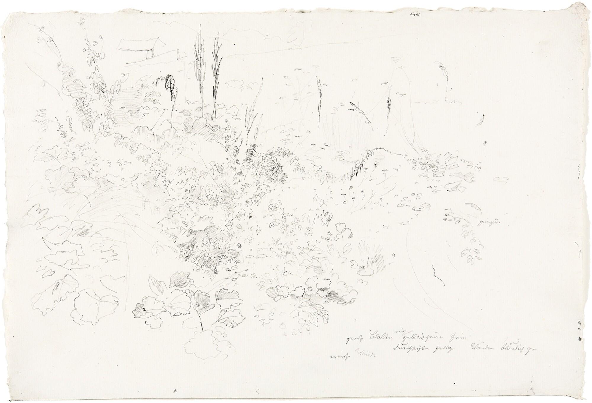 Heinrich Dreber - Landschaft mit großblättrigen Pflanzen.