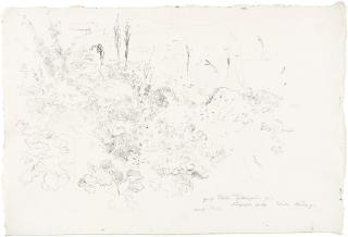 Heinrich Dreber - Landschaft mit großblättrigen Pflanzen.