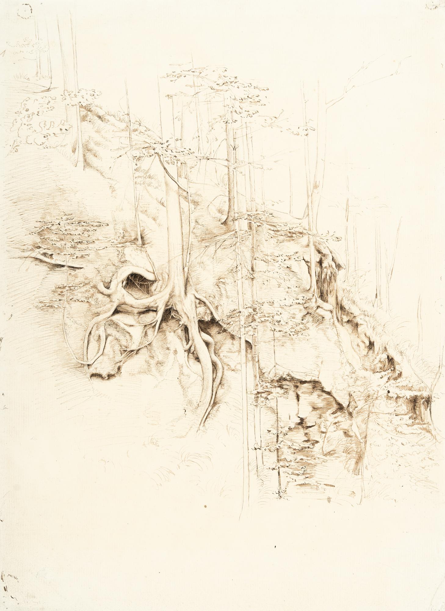 Heinrich Dreber - Landschaftsausschnitt mit Bäumen und Felsen am Abhang