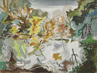 Heinrich Kamps - Schwanenspiegel (II).