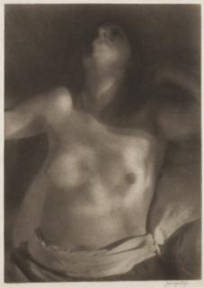 Heinrich Kühn - Female Torso In The Sunlight