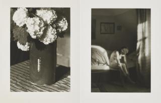 Heinrich Kühn - Konvolut von 2 Gelatinesilberabzügen.