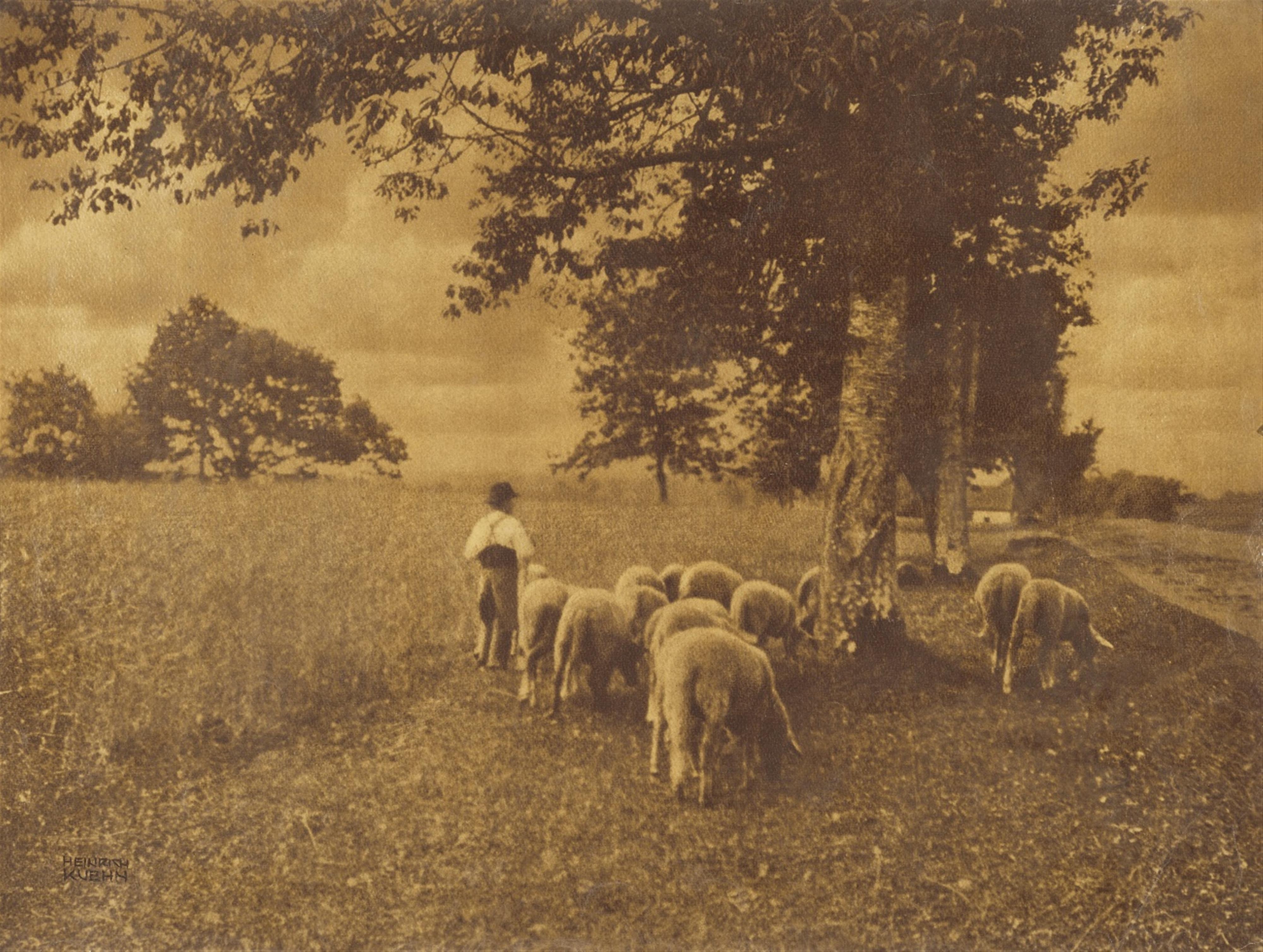 Heinrich Kühn - Ohne Titel (Heimtrieb)