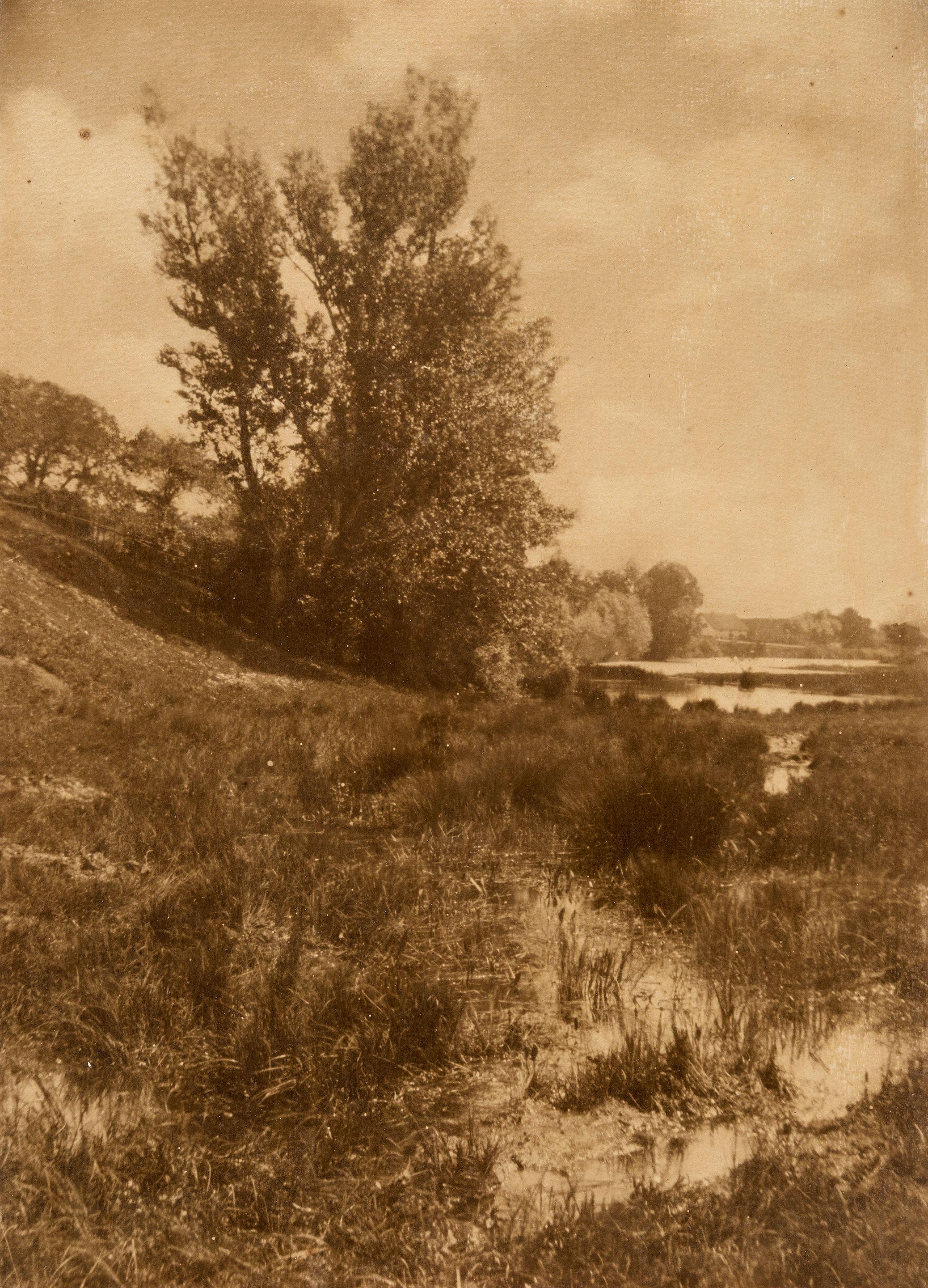 Heinrich Kühn - Untitled (Landscape)