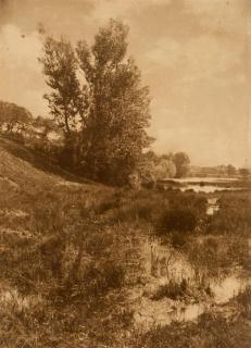 Heinrich Kühn - Untitled (Landscape)