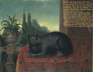 Heinrich Lihl - A Cat On A Draped Table
