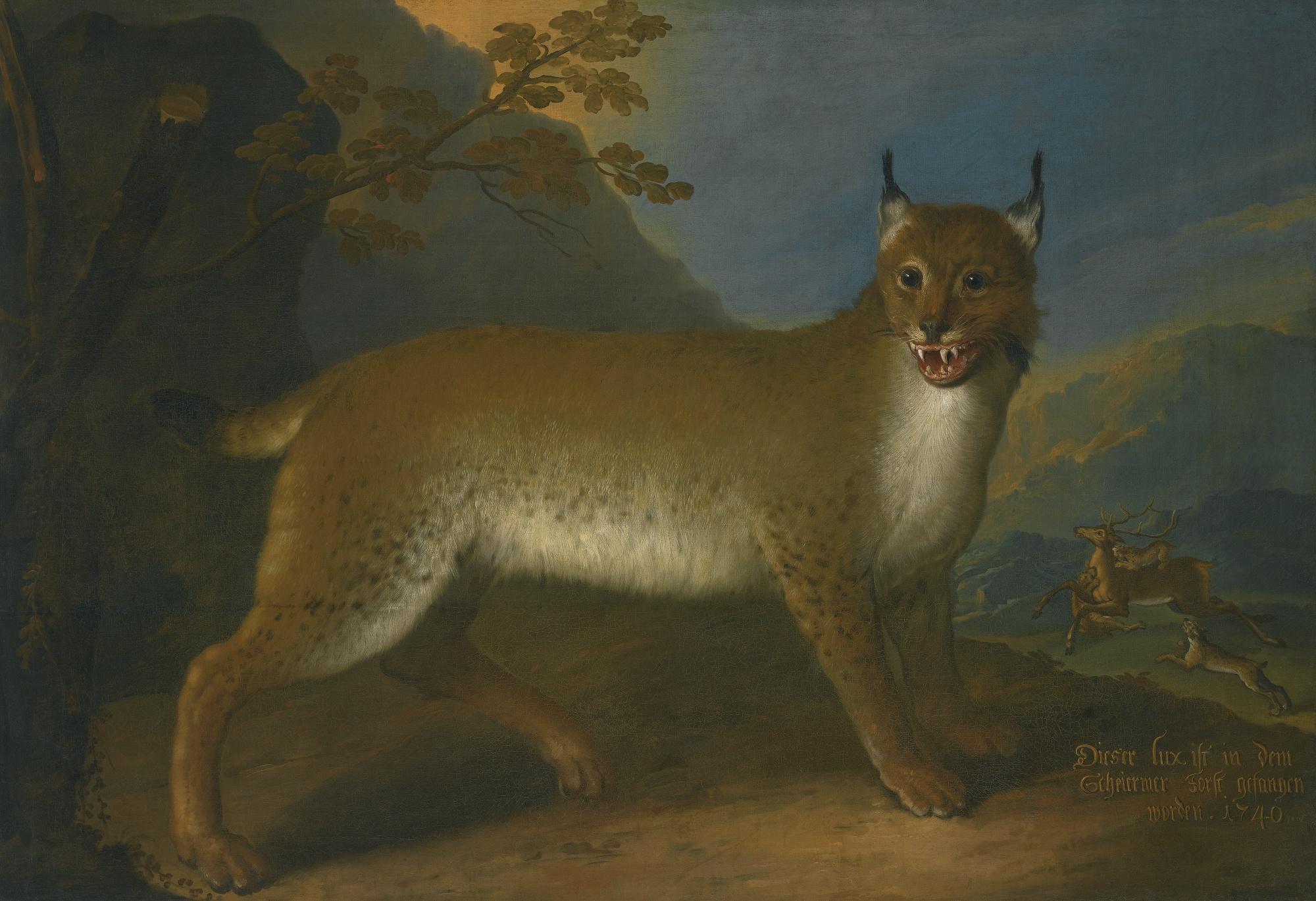 Heinrich Lihl - A Wild Lynx In A Landscape