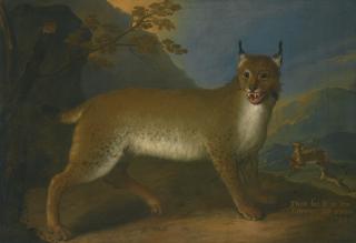 Heinrich Lihl - A Wild Lynx In A Landscape