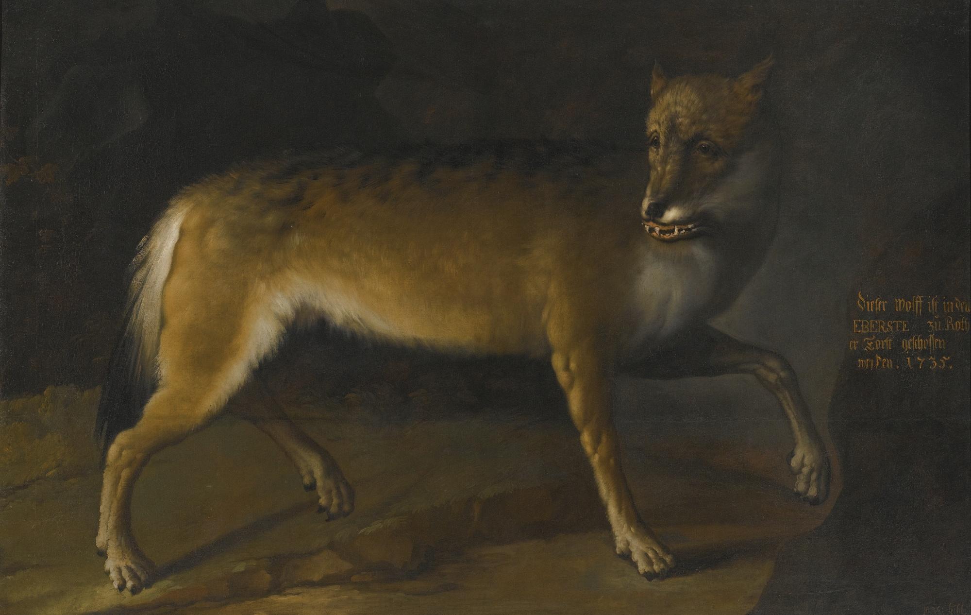 Heinrich Lihl - A Wolf In A Landscape