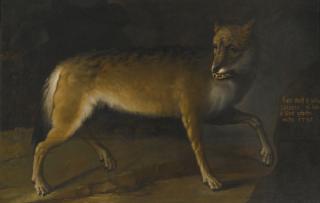 Heinrich Lihl - A Wolf In A Landscape